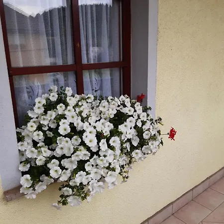 Apartment Panda