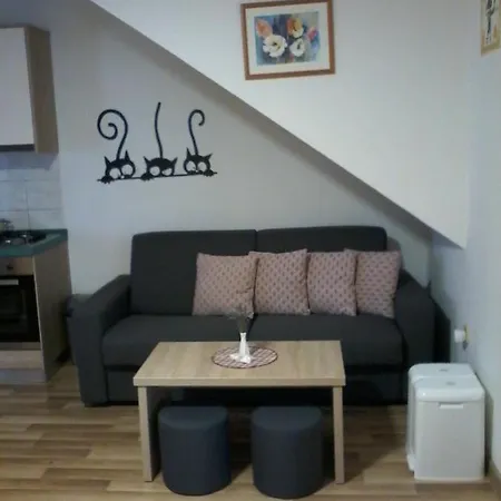 Panda Apartment